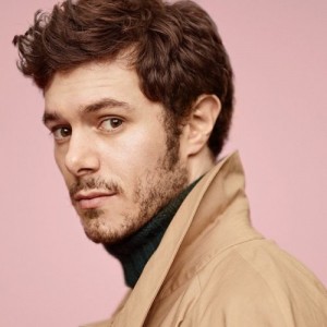 Adam-Brody’s-Soft-and-Patchy-Beard-500x500