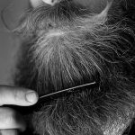 comb-beard